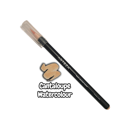 Arteza Cantaloupe Watercolour Real Brush Pen