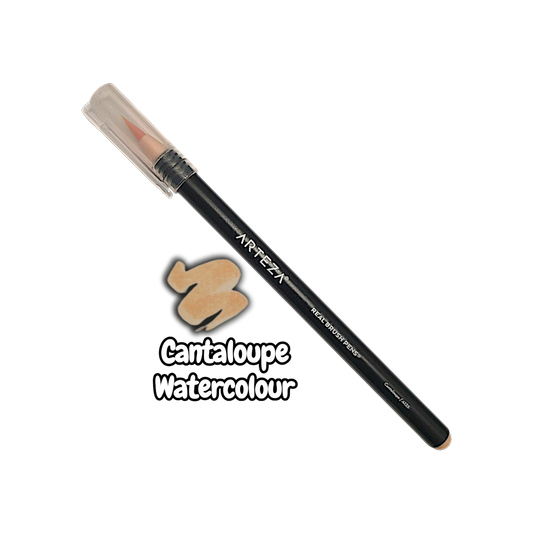 Arteza Cantaloupe Watercolour Real Brush Pen